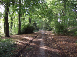 Injury shooting - Fazakerley