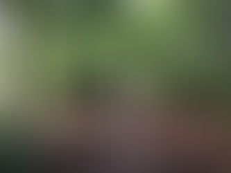 Injury shooting - Fazakerley