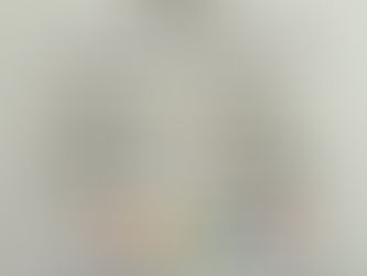 Redgate Primary School family fun day