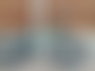 Wethepeople Crysis 2012 BMX for sale