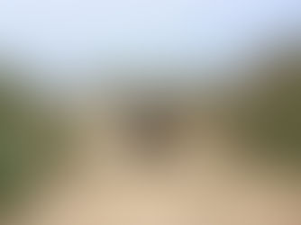 Volunteers wanted for sand clearing session on the Boardwalk tomorrow morning