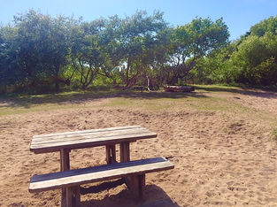 Family and barbeque area in the National Trust, Formby Point