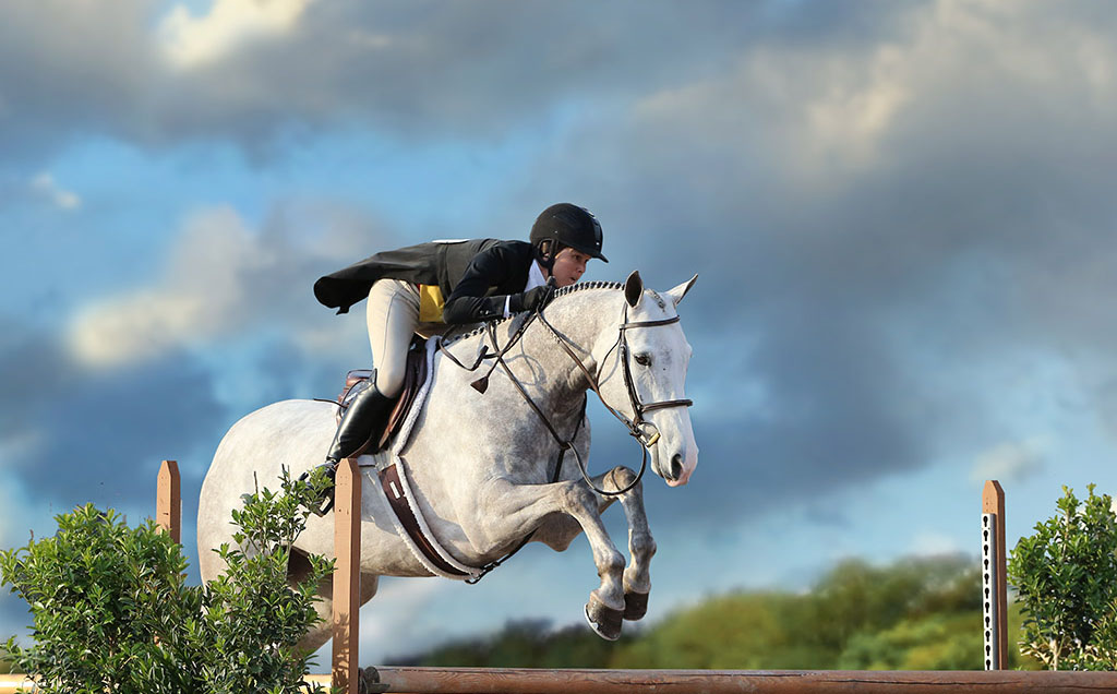 Atividades equestres no Clube Marapendi