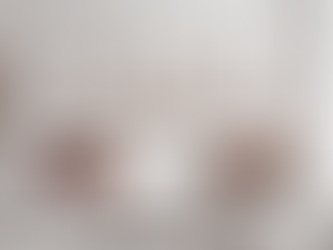 Estofados Retráteis e Reclináveis 2025: Novas Cores e Modelos para Transformar Seu Ambiente