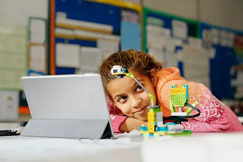 wedo.webp