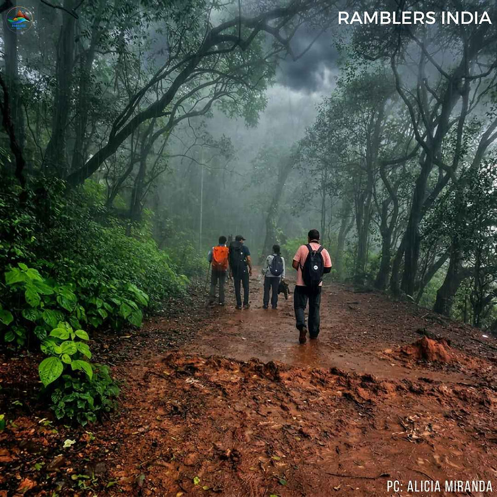 Matheran Alexander Point Trek