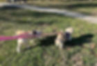 425696559_18004300883515727_6101416355598777937_n.jpeg
