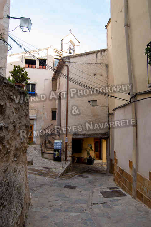 DSC_0403.JPG