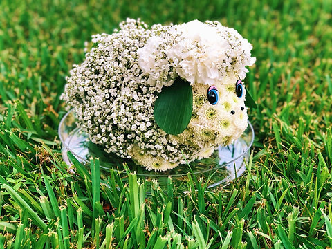Cute Sheep Flower Toy