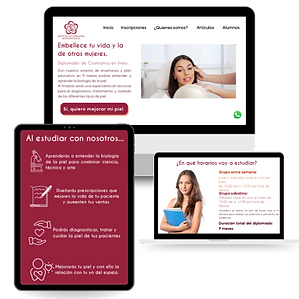 Paginas web para spa.png