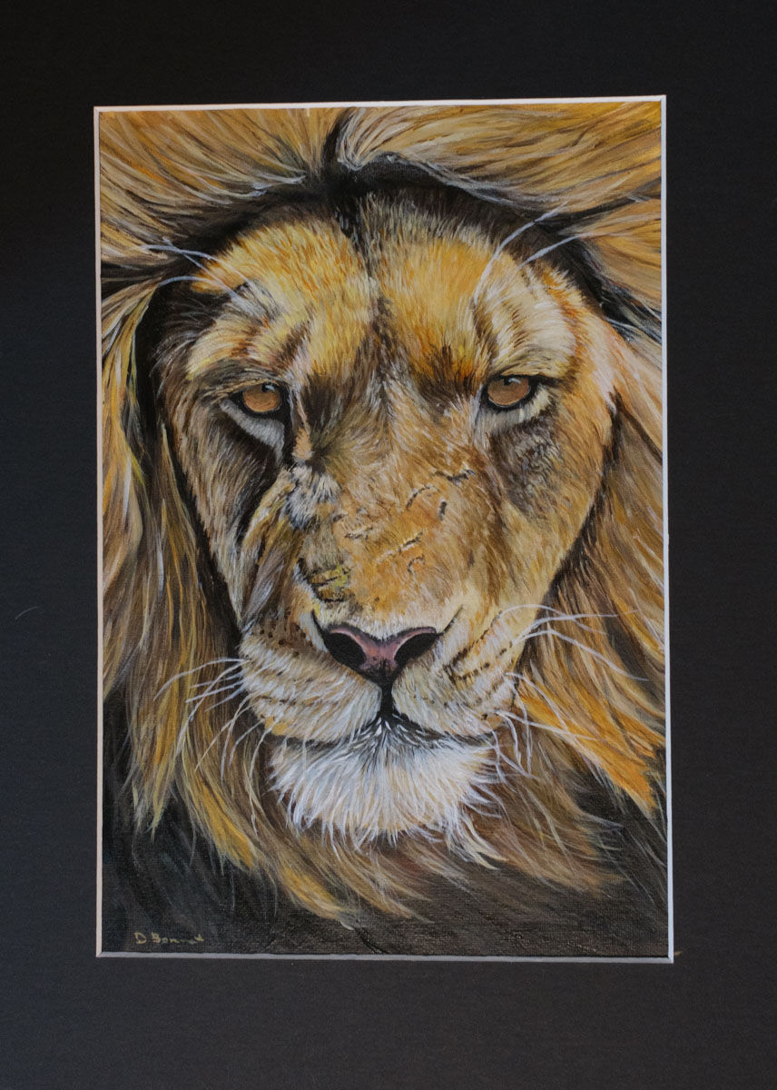 Lion in Acrylic