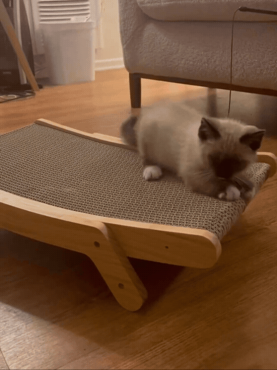 Adobe Express - Animated Scratcher Ad 4_3.gif