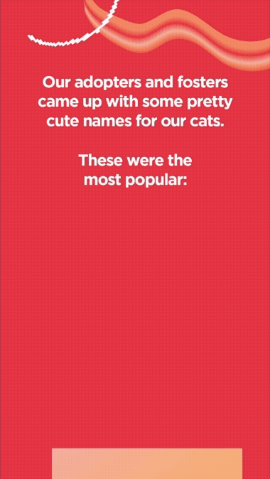 Adobe Express - B596F4B6-3261-4224-90F2-D3E3FA1C2018FON Wrapped FINAL.gif