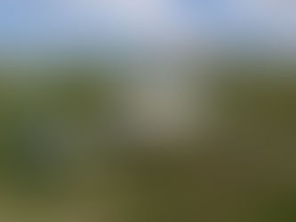 What's a weed wiper?