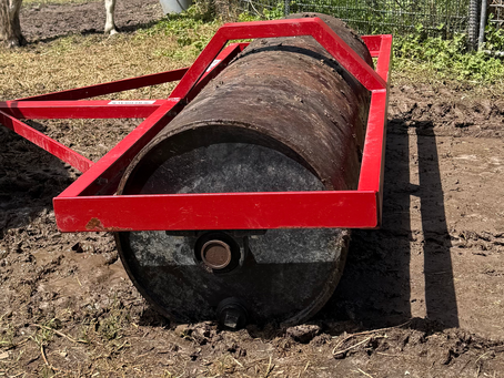 Are your paddocks thriving or surviving after all that rain?