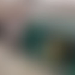 Stockton Heath Councillors Meet with Freedom Fibre to Discuss Network Roll-Out