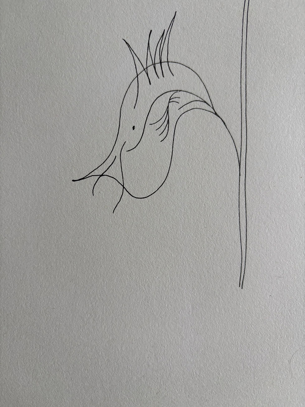 Eigenwijze vogel