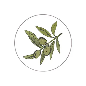 aceite-oliva.jpg.webp