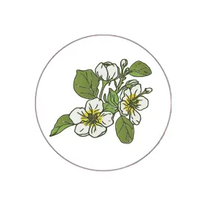 MEADOWFOAM.jpg.webp