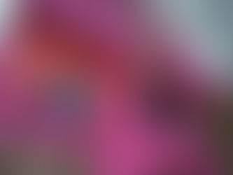 Bogotá estará de fiesta: el FIAV llega del 4 al 14 de octubre