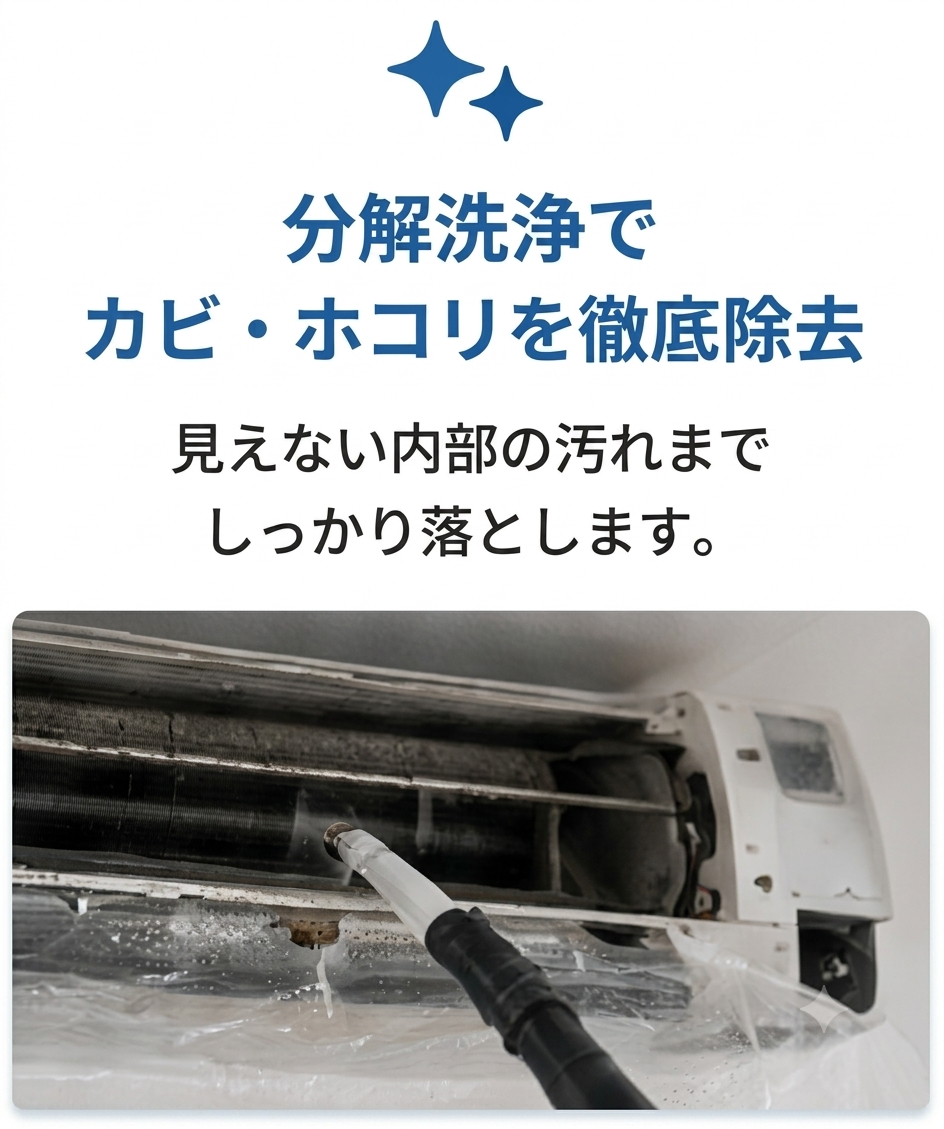 特徴３.png