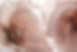roses_edited.jpg