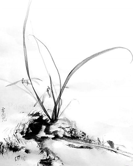 03-819x1024_edited.jpg