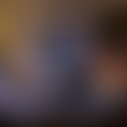 Paludario iwagumi su misura