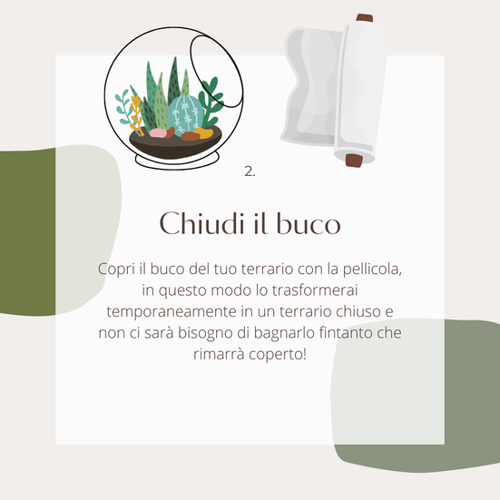 Da terrario aperto a chiuso