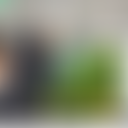 Campionato italiano di terrascaping