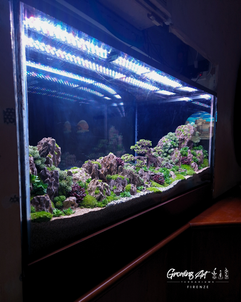 da acquario a terrario