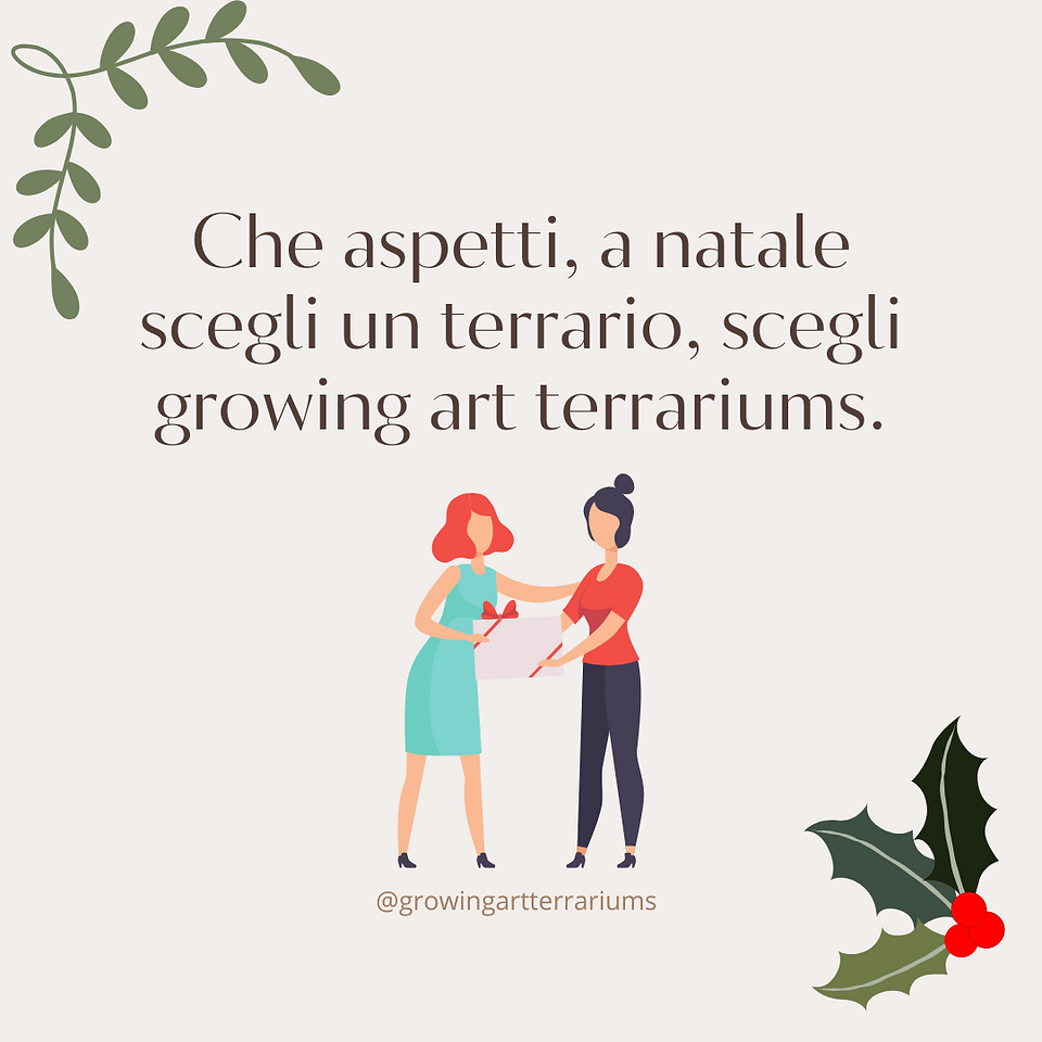 Il regalo di natale perfetto