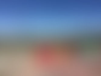 The Pandemic in our Sister Cities