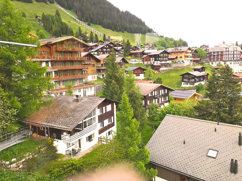 Alpine Village above Interlaken, by Max Rumbaugh