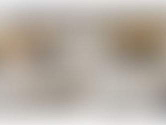 世界文化遺産登録5周年