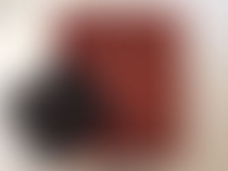 世界の原始布展