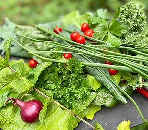 Salad-IMG-3391.jpg