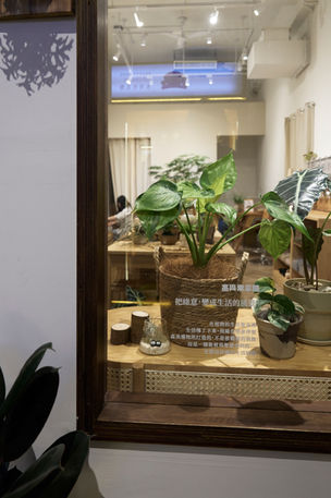 生活選物 植物 選物店 生活用品 器皿 台中 富興工廠 森美選物 陶藝