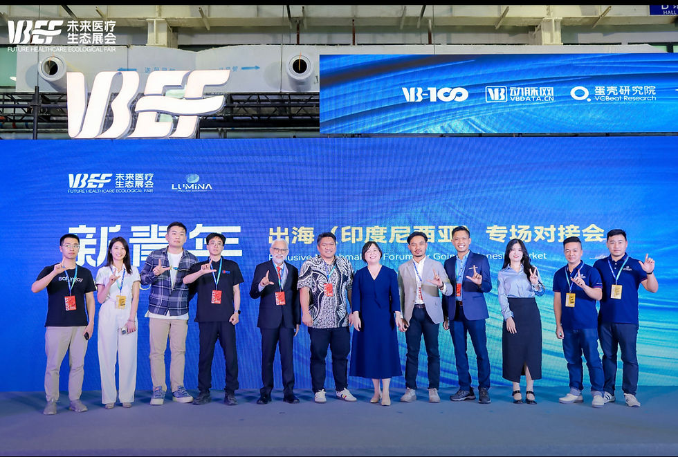 Exclusive Indonesia Market Matchmaking Forum VBEF 2024