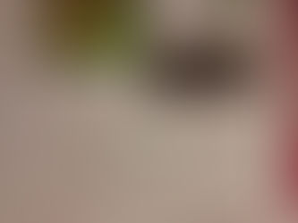 21/08 - 4º ano - Matemática - Leitura de Frações - Profª. Cida