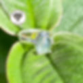 Malawi Jewelry (Malawigemstones) 12.JPG