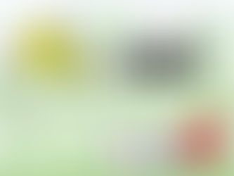 🌸✨🎉 4月のスケジュール発表 🎉✨🌸