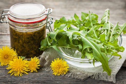 Dandelion: Hearty healer