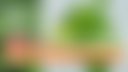 英國 Wild Garlic 全攻略｜當造季節＋辨別方法＋採摘地點＋簡易食譜