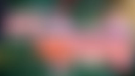 【移英理財】聖誕消費必備!iFAST Global Bank 節日限定 1.5%現金回贈攻略