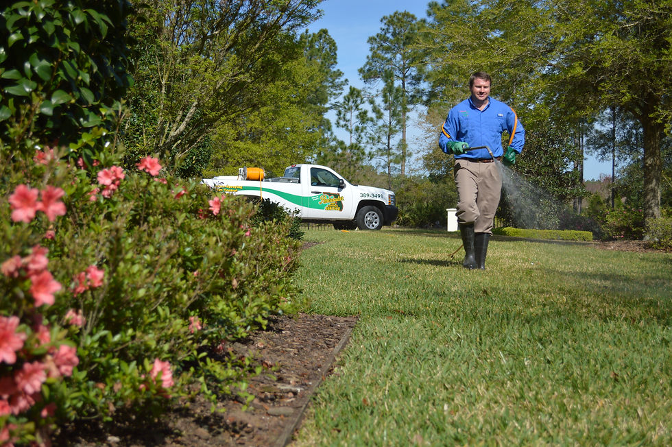 Peninsular Pest Control