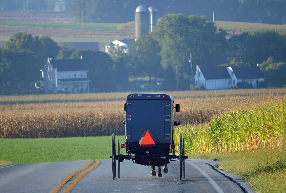 Amish buggy and farm in Hershey, PA