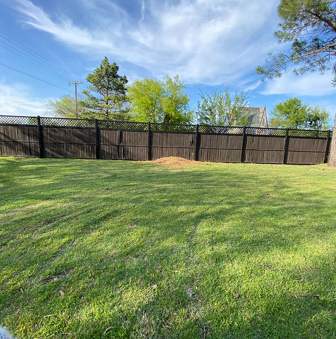 dead tree close to fence line - removed & stump grind