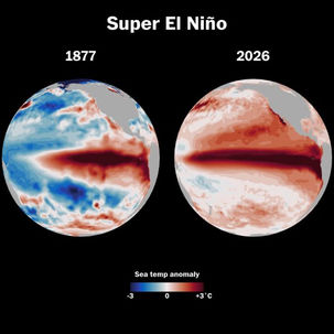 O que o Super El Niño tem a ver com a sua empresa?