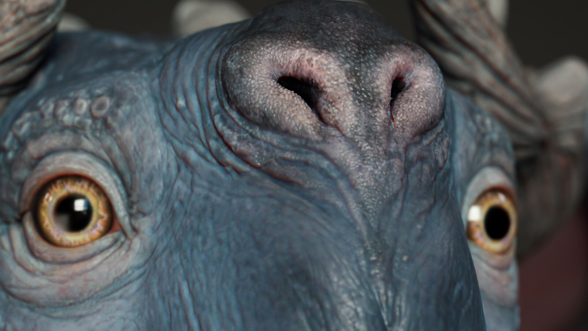 dragon eyes textures